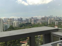 Medge (D11), Apartment #196030552